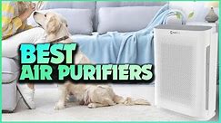 Purify Your Life: The Ultimate Guide to the Best Air Purifiers