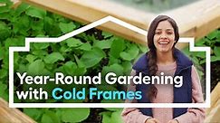 Grow Anywhere: Year-Round Gardening with Cold Frames