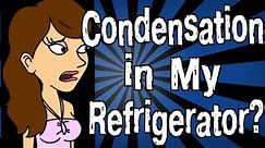 Why is There Condensation in My Refrigerator?