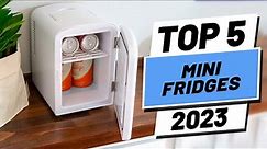 Top 5 BEST Mini Fridges of [2023]