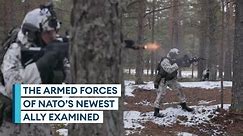 Nato: What does Finland bring to the security alliance?