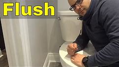 How To Flush A Toilet PROPERLY-Easy Tutorial