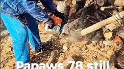 Cutting some Wood with Papaw #landscape #lawncare #woodsplitter #sthilchainsaw #viral #shorts