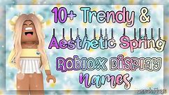 Top 10+ Trending and Aesthetic Spring Roblox Display Names | Hannah Plays