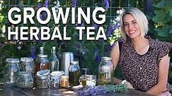 Start an Herbal Tea Garden in Your Yard!