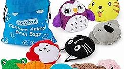 teytoy Sensory Bean Bag for Kids 10 Pack,Texture Sensory Beanbags,Sensory Toys for Autism,Animal Sensory Fine Motor Toys with Storage Bag for Boys and Girls