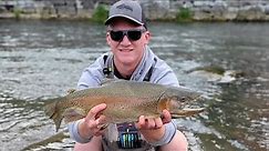 Fishing Pennsylvania Creeks For Giant Trout.