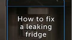 How to fix a leaking fridge