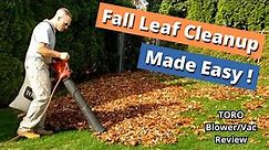 FALL LEAF CLEANUP the easy way! (Toro Ultra Leaf Vac review) Tips and tricks for landscaped areas