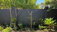 How to paint exterior rendered fence?
