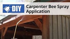 Carpenter Bee Spray Application | DoMyOwn.com