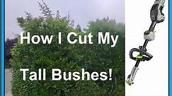 How to trim tall bushes and trees, Ego Hedge Trimmer