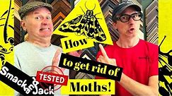 How To Get Rid Of Moths Using Moth Traps