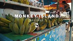 Monkey Island | Bangkok