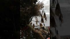 Bedroom window décor😍🌌💞décor#dried flower #creative #talent #nature