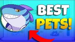 THE *BEST* PETS IN PRODIGY!!!