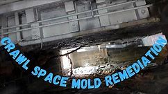 How to Remove Mold in Crawl Space | Killing Mold in Crawl Space