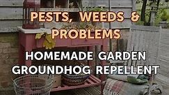 Homemade Garden Groundhog Repellent