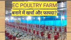 EC/ AC Poultry Farm बनाने में खर्चा और फायदा? | Poultry Farm in India
