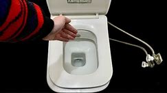 Incredible Idea! How to Eliminate Toilet Bowl Odor Forever