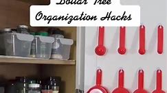 120_Check out one of my Dollar Tree Organization hacks! For more go to my YouTube channel @l #reelfb #reels #foryoupage #fyp | Rixeaver
