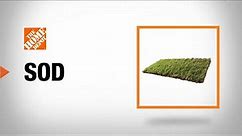 How to Choose Sod | The Home Depot