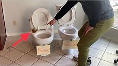 Round vs elongated toilet