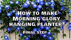 How To Make Morning Glory Hanging Planters?|| Final Step || Whimsy Crafter