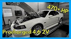 Procharged 4.6 2v Ford Mustang | Supercharged 4.6 | Dyno Review