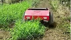 Robot lawn mower!