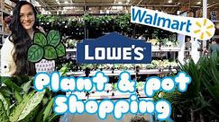 Plant Shopping At Lowe's & Walmart | Big Box Store Plant Shopping & Haul