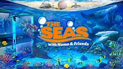 Zoo Tours: The Seas with Nemo & Friends | EPCOT (FULL TOUR)