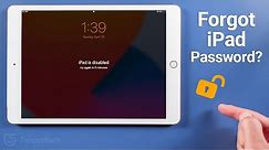 Forgot Your iPad Password? 3 Ways to Unlock Without Losing Data! [2024]