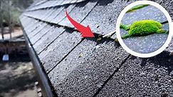 How to Clean Moss Off Your Roof