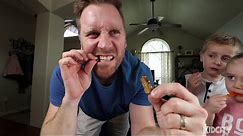 DadCity Eats Alligator! (Gummy vs Real Family Challenge Part 1!)