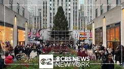 2023 Rockefeller Center Christmas tree arrives in NYC