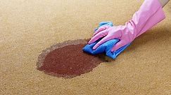 How to Clean Carpets the Right Way