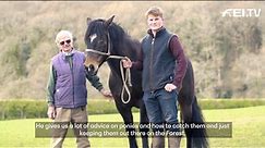 The Famous New Forest Ponies | RIDE