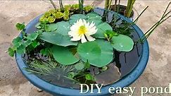 DIY EASY POND | make easy pond with plastic tub | how to build container water garden | patio pond