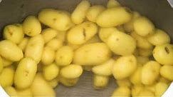 PL 40K Potato peeler: Washing and peeling in one step