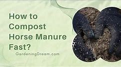 How to Compost Horse Manure Fast?