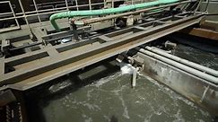 Waste Water: Where Does it Go? Lou Romano Water Reclamation Plant