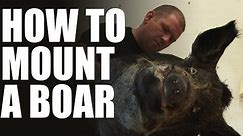 Max Hunt's taxidermist - how to mount a wild boar head