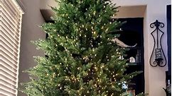 New Christmas tree from @homedepot. It is the 9ft Grabd Duches Balsam Hill Fir pre-lit tree with remote. It is stunning. I kind of wish we would have got the 12ft. #christmas #christmas2023 #christmasdecor | Kaitlyn Mathews Hunter