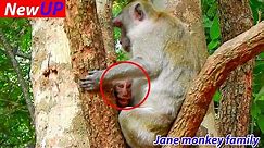 OMG!..Jonna cry seizure nonstop hug the tree cos Jane b!te refused milk pushing down.