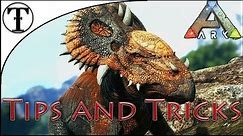 Fast Pachyrhinosaurus Taming Guide :: Ark : Survival Evolved Tips and Tricks