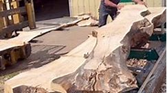 Old pine log getting cut into slabs