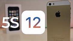 Will the iPhone 5S get iOS 12?