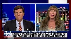 Lauree Simmons on shelter overflowing with dogs left at the border