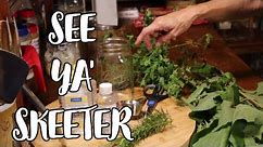 DIY Natural Insect Repellent: Keep Mosquitoes and Black Flies at Bay | All About Living
